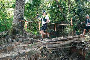 BIB: 
                            <button type="button" onclick="openModal(27744245)" class="btn btn-primary btn-sm float-right btn-popup" data-toggle="modal" data-target=".modal-high-quality">
                        <i class="fas fa-shopping-cart"></i> Add to Cart
                    </button>
                                            <button type="button" onclick="isThisMe(27744245, true)" class="btn btn-success btn-sm float-right btn-popup btn-isme hidden" data-toggle="tooltip" data-placement="bottom" title="นี่คือรูปของคุณใช่ไหม คลิกที่นี่เพื่อเอาเข้าอัลบั้ม">
                        <i class="fas fa-plus"></i> Add to album
                    </button>
                    <button type="button" onclick="isThisMe(27744245, false)" class="btn btn-warning btn-sm float-right btn-popup btn-isnotme hidden">
                        <i class="fas fa-ban"></i> Remove from album
                    </button>